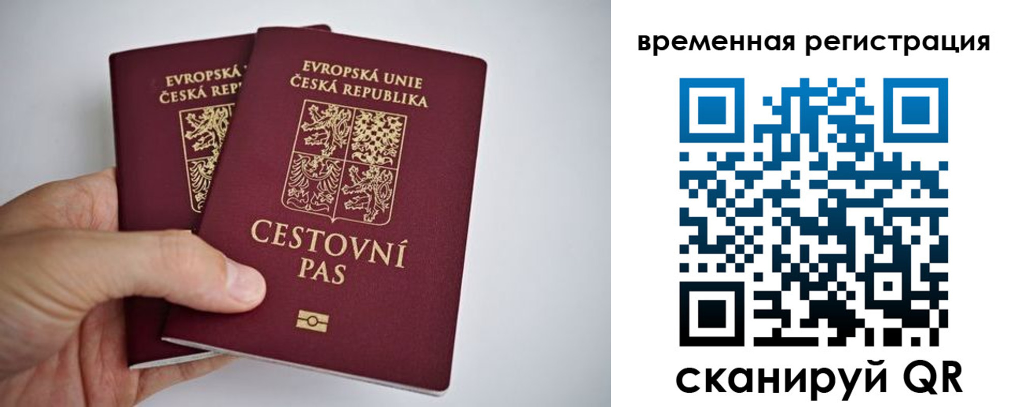 регистрация для школы в Энгельсе